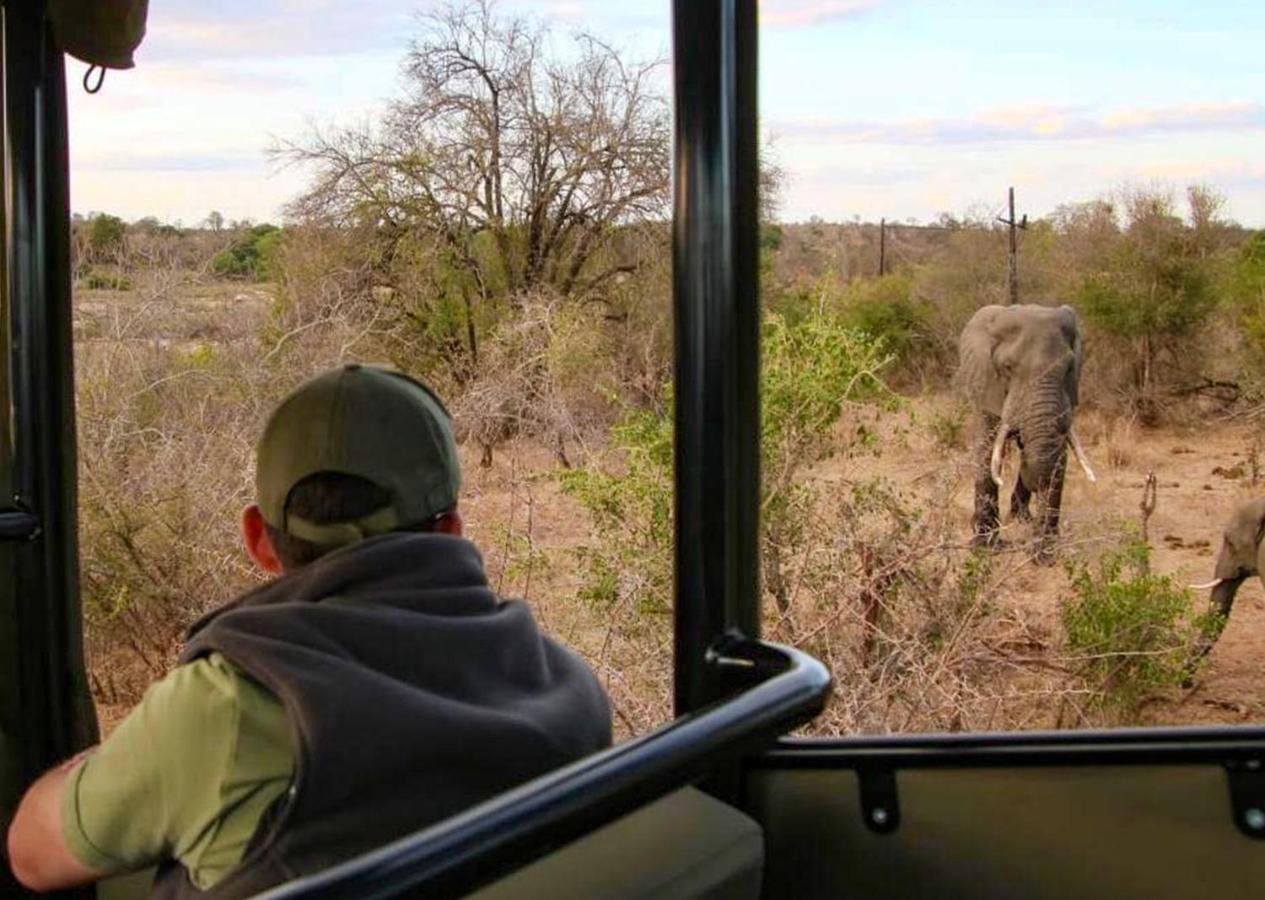 Burchell's Bush Lodge Sabi-Sand-Reservat Exterior foto